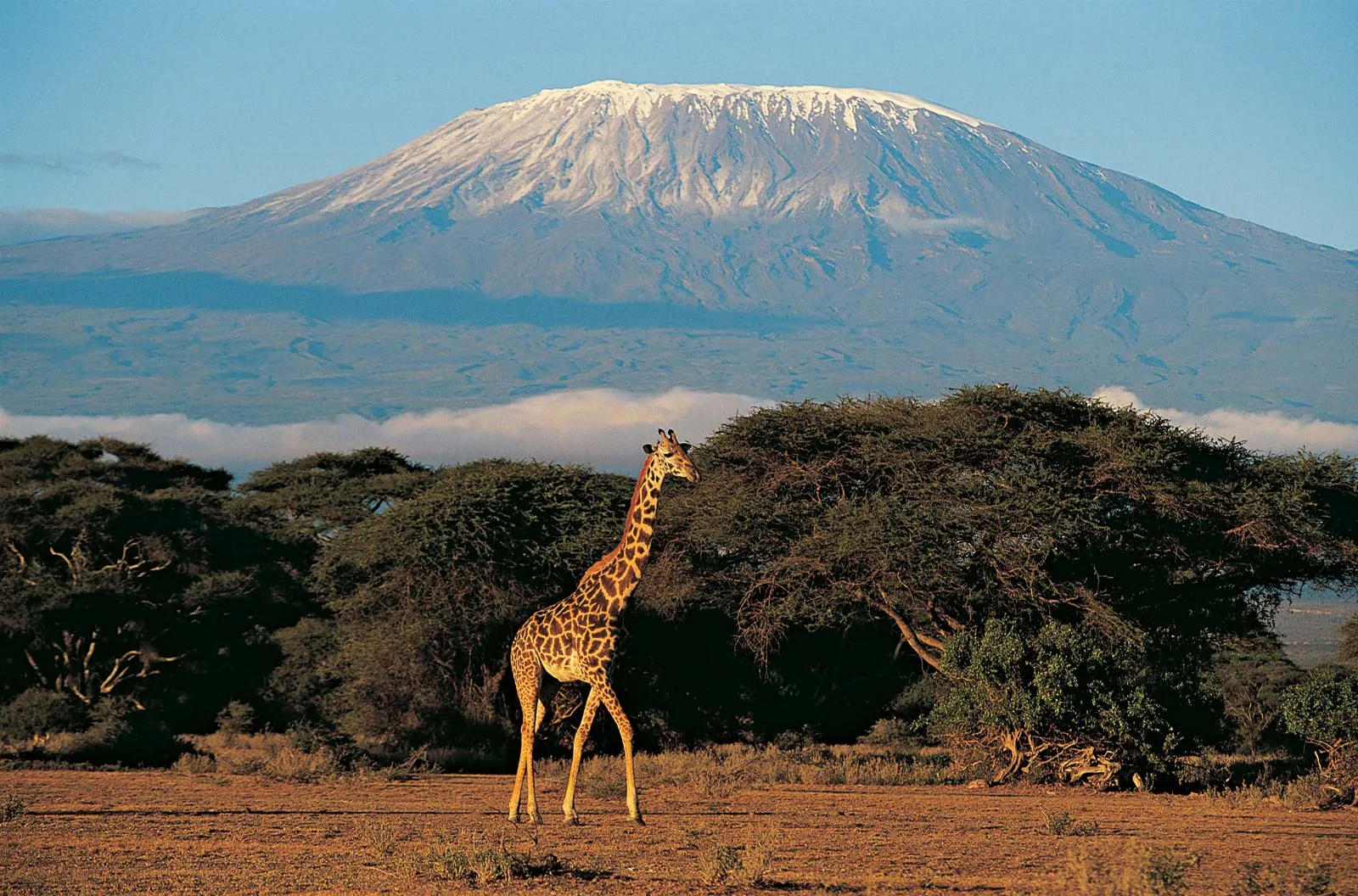 Mount Kilimanjaro — The Complete Encyclopedic Guide
